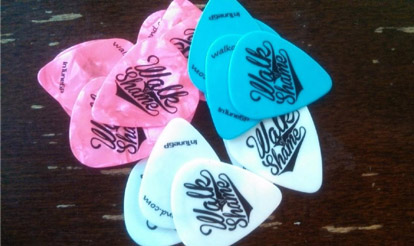 fans of personalized guitar picks fans of personalized guitar picks