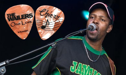 Personalized Guitar Picks Picks for The Wailers