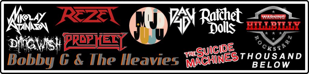 Custom Guitar Pick Clients Portfolio