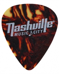 personalized guitar picks single