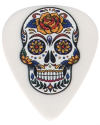 Custom Guitar Picks and Personalized Guitar Picks Full Color