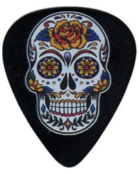 Custom Guitar Picks and Personalized Guitar Picks Full Color