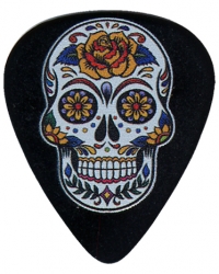 Custom Guitar Picks and Personalized Guitar Picks Full Color